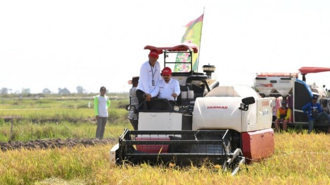 Kementan Optimalkan Lahan Rawa lewat Program Serasi