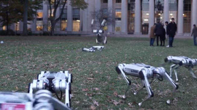 Kumpulan robot cheetah. [YouTube/Biomimetics MIT]