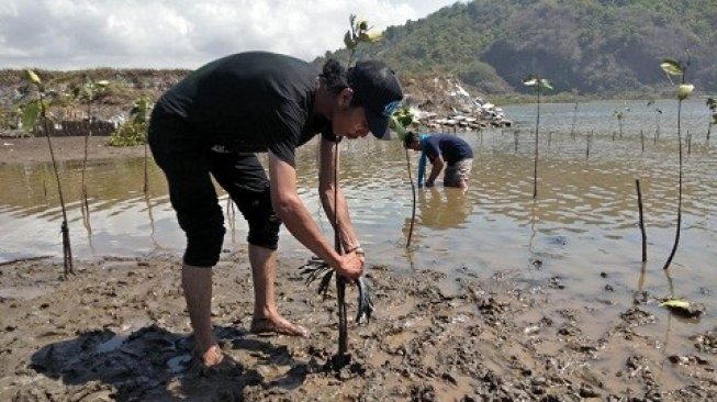 Jaga Ekosistem, Forpagansi Tanam Mangrove di Cilacap