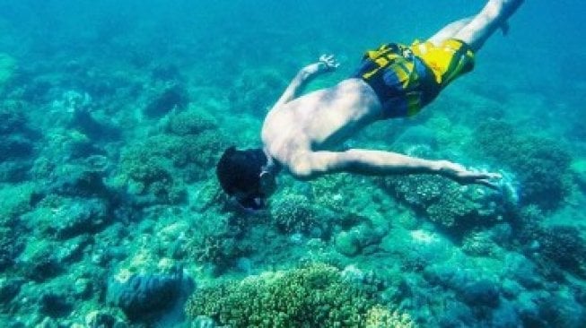 Surga Snorkeling di Sulawesi Barat Itu Bernama Gonda Mangrove Park