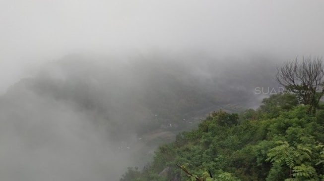 Berburu Kabut di Kebun Buah Mangunan Yogyakarta. (Suara.com/Dany Garjito)