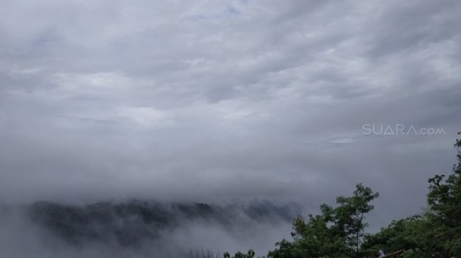 Kebun Buah Mangunan, Destinasi Wisata Jogja Layaknya Negeri di Atas Awan