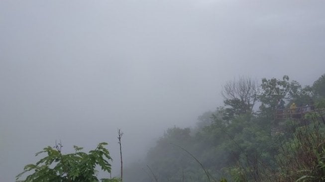 Berburu Kabut di Kebun Buah Mangunan Yogyakarta. (Suara.com/Dany Garjito)