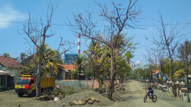 Anak-anak beraktivitas bersamaan dengan warga yang menambang pasir di halaman rumahnya di Dusun Winong, Desa Slarang, Kecamatan Kesugihan, Kabupaten Cilacap, Jumat (15/11/2019). [Suara.com/Anang Firmansyah]