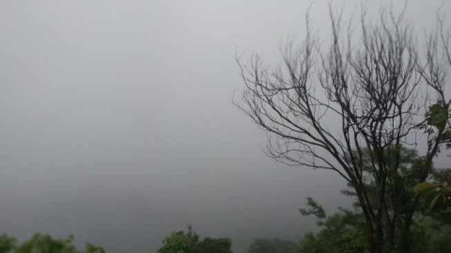 Berburu Kabut di Kebun Buah Mangunan Yogyakarta. (Suara.com/Dany Garjito)