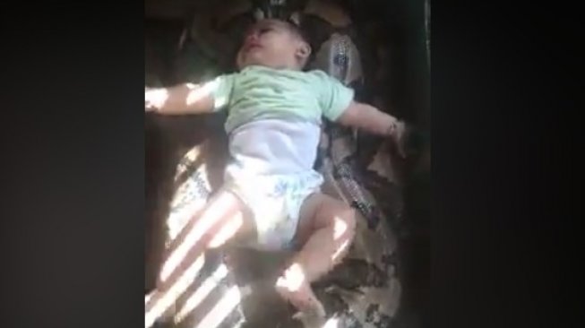 Viral bayi tiduran di atas ular besar (Facebook)