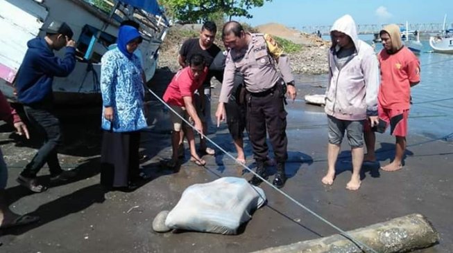 Gegara Ngeluh Sakit, Detik-detik Raymundus Bungkus Mayat Pacar ke Seprai