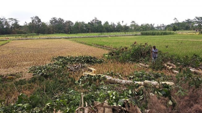 Suasana Kampung Duri, Kelurahan Tirtomartani, Kecamatan Kalasan, Kabupaten Sleman - (SUARA/Baktora)