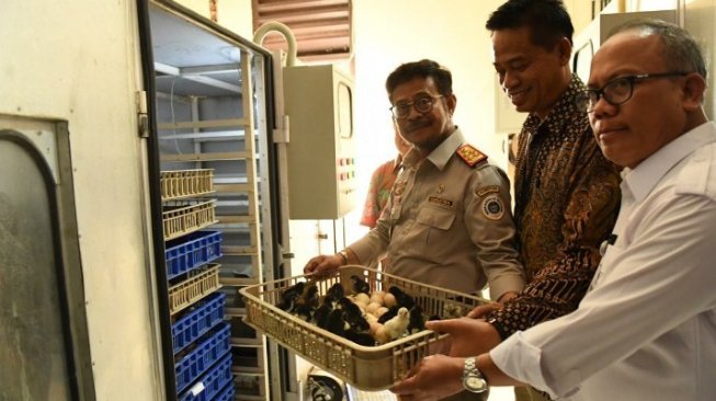 Menteri Pertanian Kunjungi Unit Pengelola Benih di Salatiga