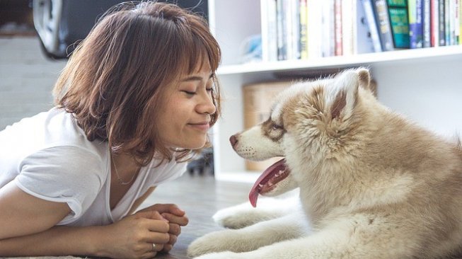 5 Arti Mimpi Anjing: Tanda Kesehatan Mental Hingga Adanya Perselingkuhan?