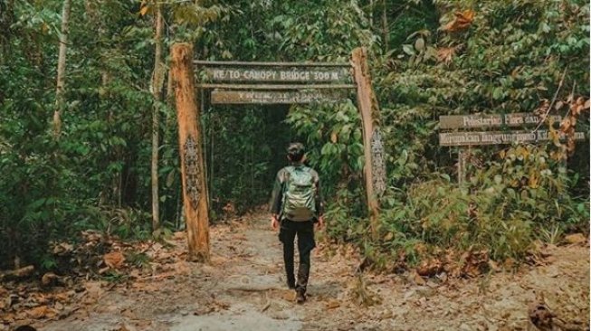 Indah dan Asrinya Bukit Bangkirai, Tempat Wisata Alam Sekaligus Uji Nyali