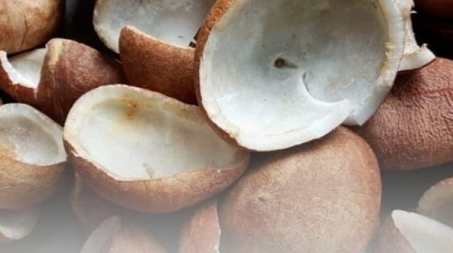 Kopra Asal Banten Diminati Negara Jepang dan India