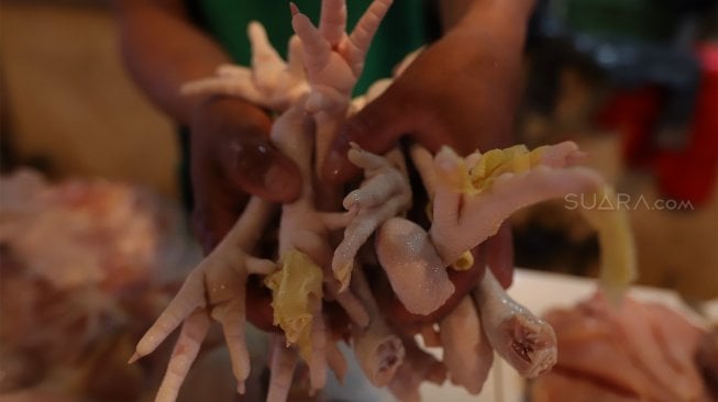 Ilustrasi ceker ayam. (Suara.com/Angga Boedhijanto)