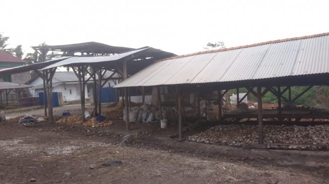 Pandeglang Krisis Kelapa, Distan Malah Salahkan Petani