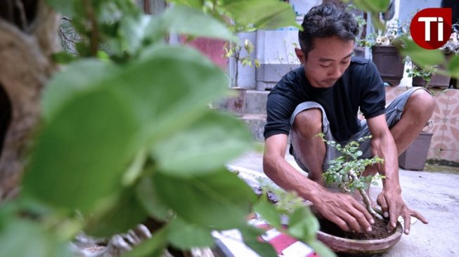 Puluhan Tahun Warga Pacitan Ini Berburu Tanaman Langka