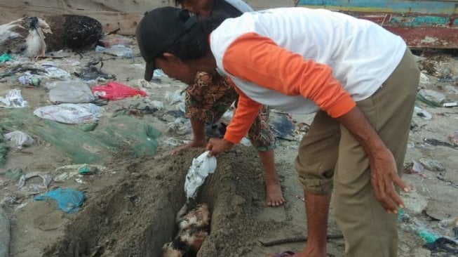 Pembantaian terhadap kucing terjadi di kawasan Sukajaya Laut, Lempasing, Lampung. (Foto Dok. Cat Rescue Lampung)