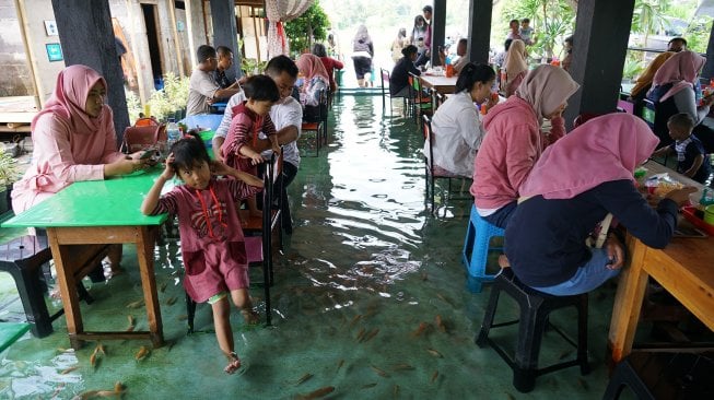 Melihat Warung Makan Dalam Kolam Ikan di Yogyakarta - Suara.com