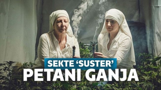 The Sisters of the Valley, Sekte 'Suster' yang Berbisnis Ganja