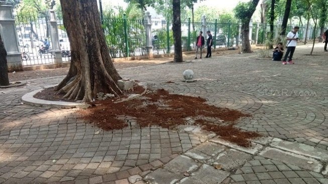 Masih Dirawat, Korban Ledakan di Monas Belum Bisa Berikan Keterangan