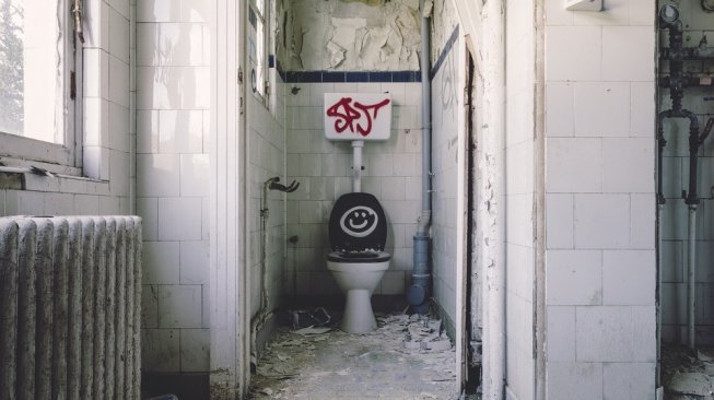 Ilustrasi Toilet Rusak (Pixabay)