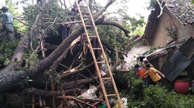 3 Orang di Sleman Luka Tertimpa Reruntuhan Rumah dan Pohon Saat Hujan Angin