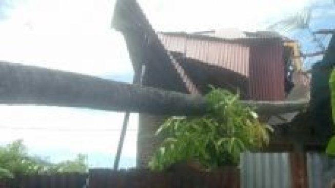 Akibat Angin Kencang, Sejumlah Pohon Tumbang di Kota Padang
