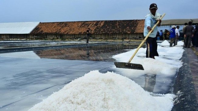 Harga Garam di Cirebon Anjlok, Cuma Rp100/Kg