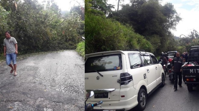 Pohon Tumbang di Kelok 44, Akses Bukittinggi-Maninjau Putus Total
