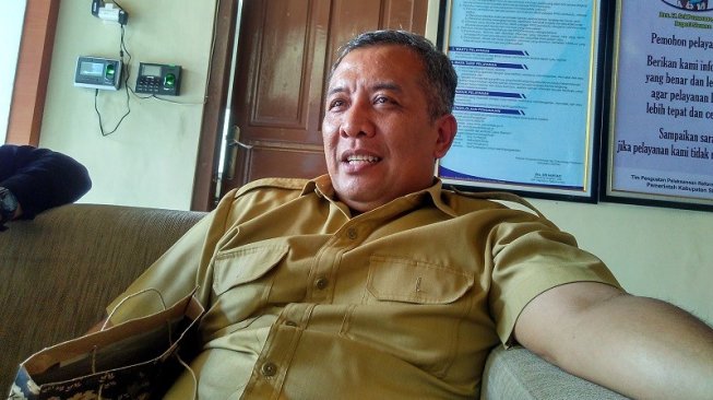 Pohon di Jalan Wates Timpa Ibu Hamil, DLH Akui Sulit Lakukan Pemantauan