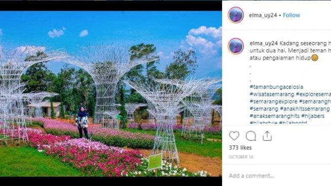 Instagramable Banget, 5 Kota Ini Punya Taman Bunga yang Indah