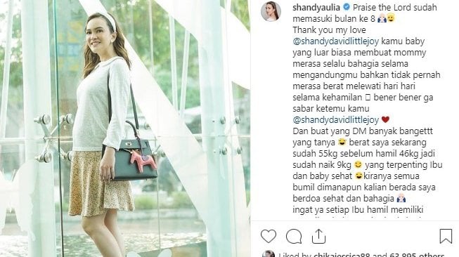 Shandy Aulia 