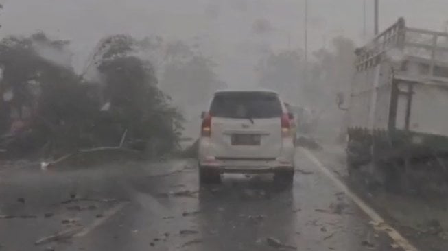 Angin Kencang dan Hujan Terjang Bangkalan: Pohon Tumbang, Rumah Rusak