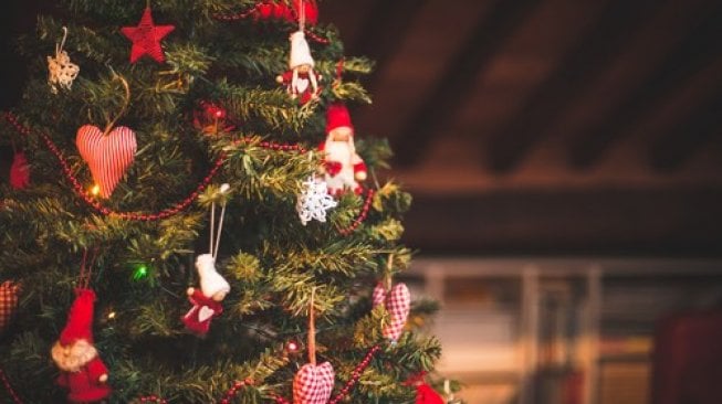 Terobsesi dengan Hari Raya Natal, Wanita Ini Selalu Menjaga Pohon Natalnya Sepanjang Tahun