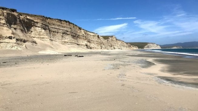 Pesona Pantai Drakes yang Ramai Dibicarakan Karena Ikan Penis