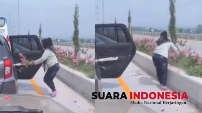 Video Emak-emak Curi Bunga di Jalan Tol Viral, Ini Cerita Sebenarnya