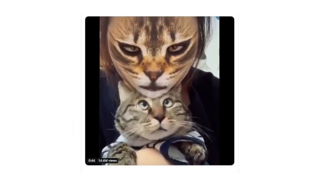 Ilmuwan Ungkap Fakta di Balik Viralnya Video Filter Kucing di Snapchat