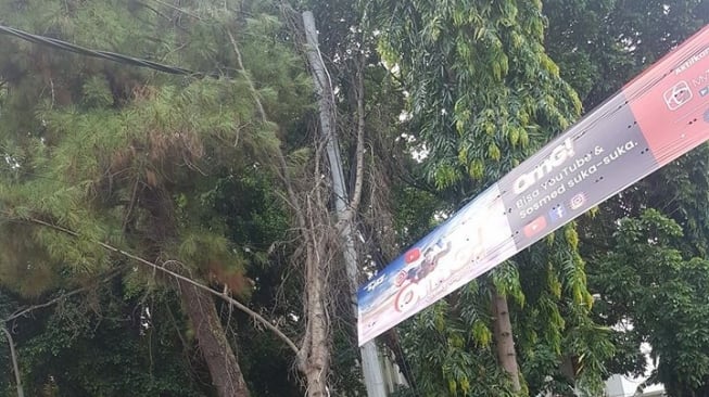 Tersangkut Kabel Tiang Listrik, Pohon di Kampus UNY Ini Resahkan Warganet