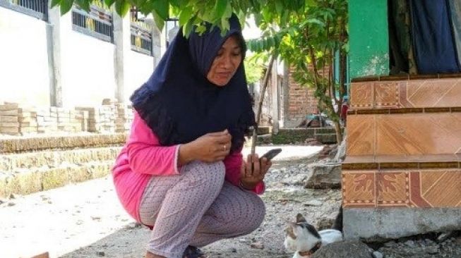 Viral Kucing Rumahan Usir Ular Kobra yang Akan Masuk Rumah di Mojokerto