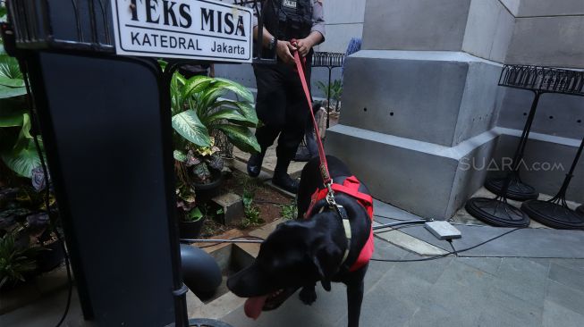 Tim Gegana mengunakan anjing pelacak menyisir kawasan Gereja Katedral Jakarta, Selasa (24/12). [Suara.com/Angga Budhiyanto]