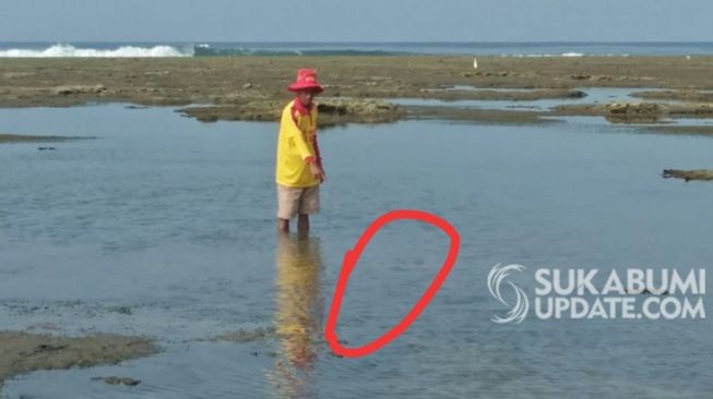 Ada Bekas Gigitan, Bocah Tewas di Pantai Minajaya Sukabumi Jadi Misteri