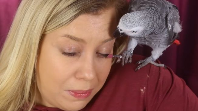 Burung Beo Jadi Makeup Artist, Prosesnya Kocak tapi Bikin Deg-degan