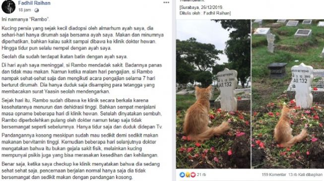 Viral foto kucing diam memandang batu nisan tuannya (Facebook Fadhil Raihan)