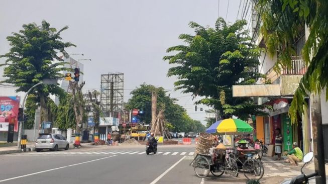 Pohon Seberat 15 Ton Ditanam Pemkot Madiun di Tengah Jalan Protokol