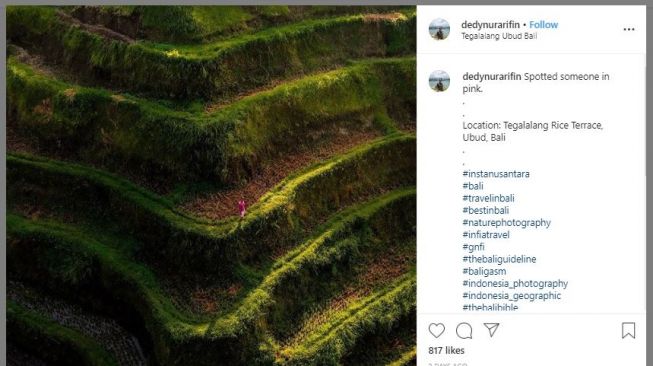 Sawah Tegalalang, Bali (instagram.com/dedynurarifin)