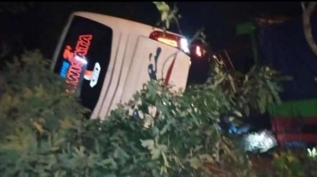 Viral Bus Kejar-kejaran Melawan Truk Gara-Gara Spion, Akhirnya Terguling