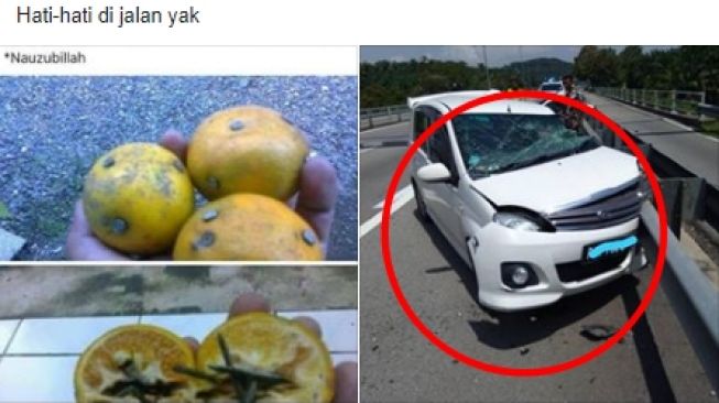 Viral Kecelakaan yang Disebabkan Ranjau Paku Berwujud Buah, Begini Faktanya