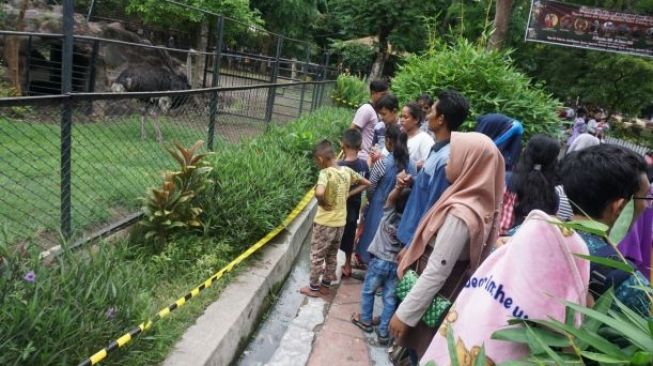 Suasana Kebun Binatang Surabaya di Libur Tahun Baru 2020. (Suara.com/Arry Saputra)