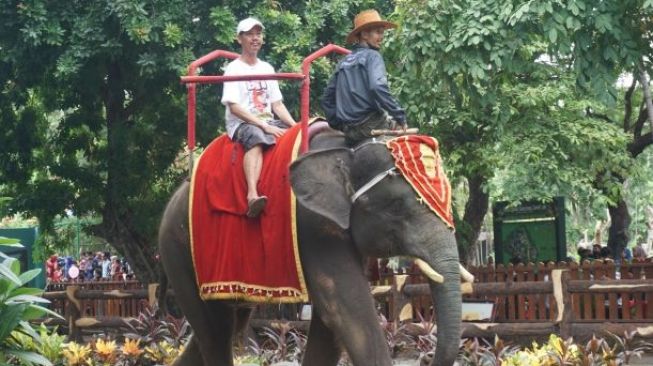 40 Ribu Pengunjung Nikmati Libur Tahun Baru di Kebun Binatang Surabaya