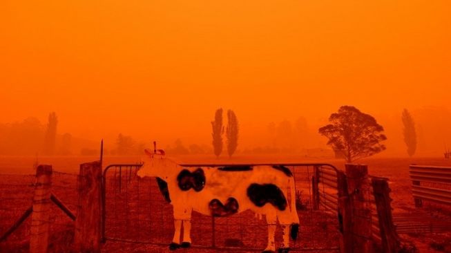 Penampakan merah langit akibat kebakaran di sebuah peternakan sapi di New South Wales, Australia pada 5 Januar 2020. (Foto: AFP / Saeeda Khan)