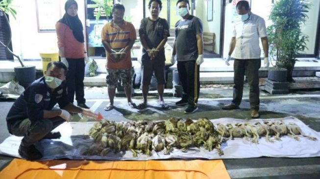 Per Ekor Rp 25 Ribu, Ini Pasar-pasar Target Peredaran Ayam Tiren di Blitar